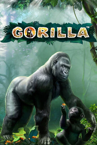 Gorilla играть в онлайн казино Фараон Казино Онлайн без регистрации